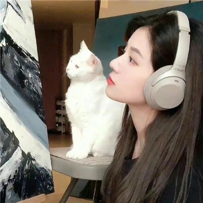 风云群英会
